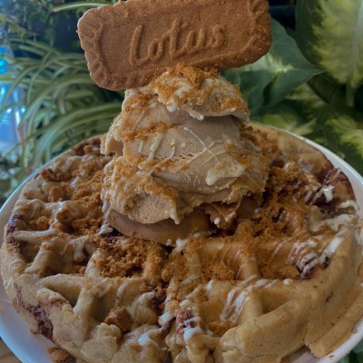 Cookie Dough Waffles and Gelato.